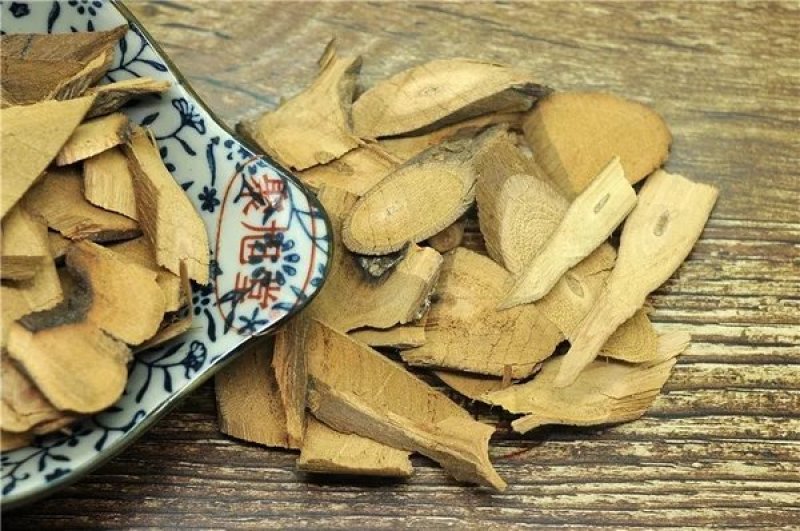 铁包金狗脚利老鼠草鼠乳头乌金藤小号铁包金