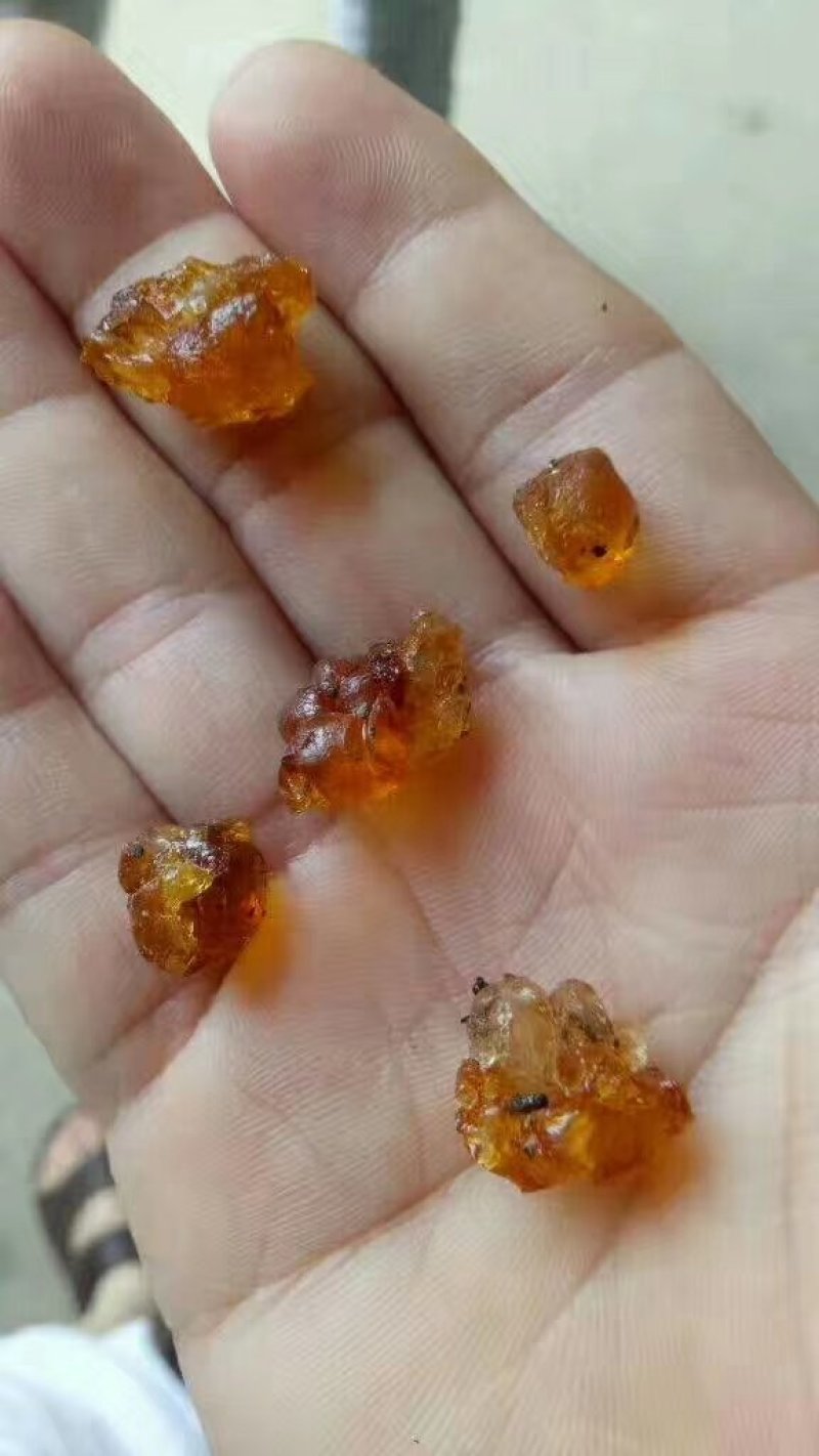 桃胶