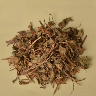 干鱼腥草