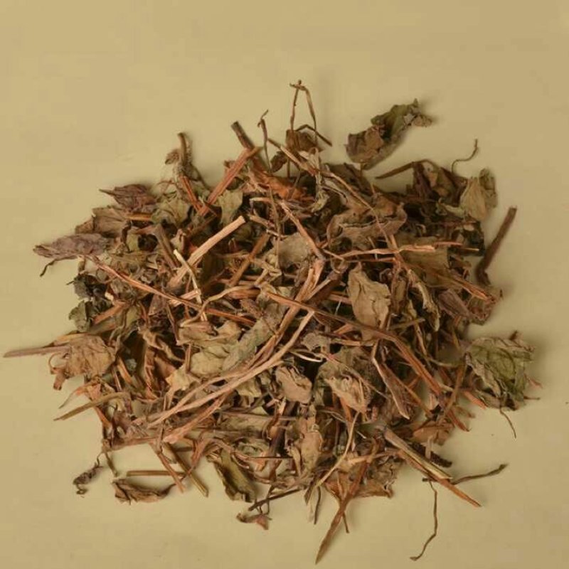 干鱼腥草