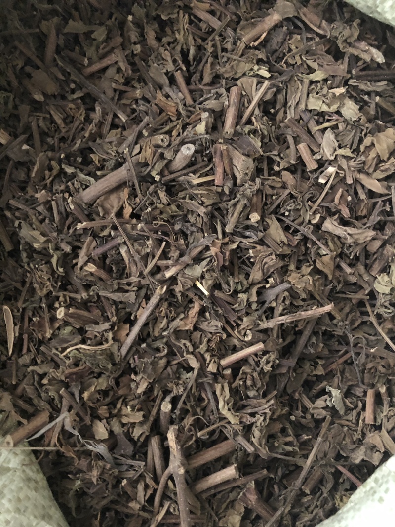 【猫须草】猫须草量大从优物美价廉产地直供