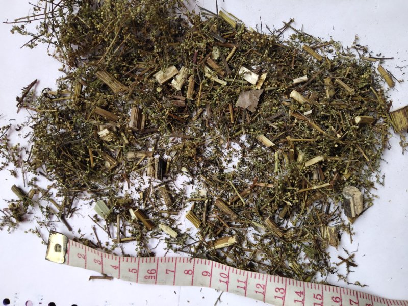 青蒿次统货带自然沫批发支持代发1000克