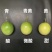 纯甜黄金百香果苗芭乐味.钦蜜九号、包技术.无病毒假一赔百