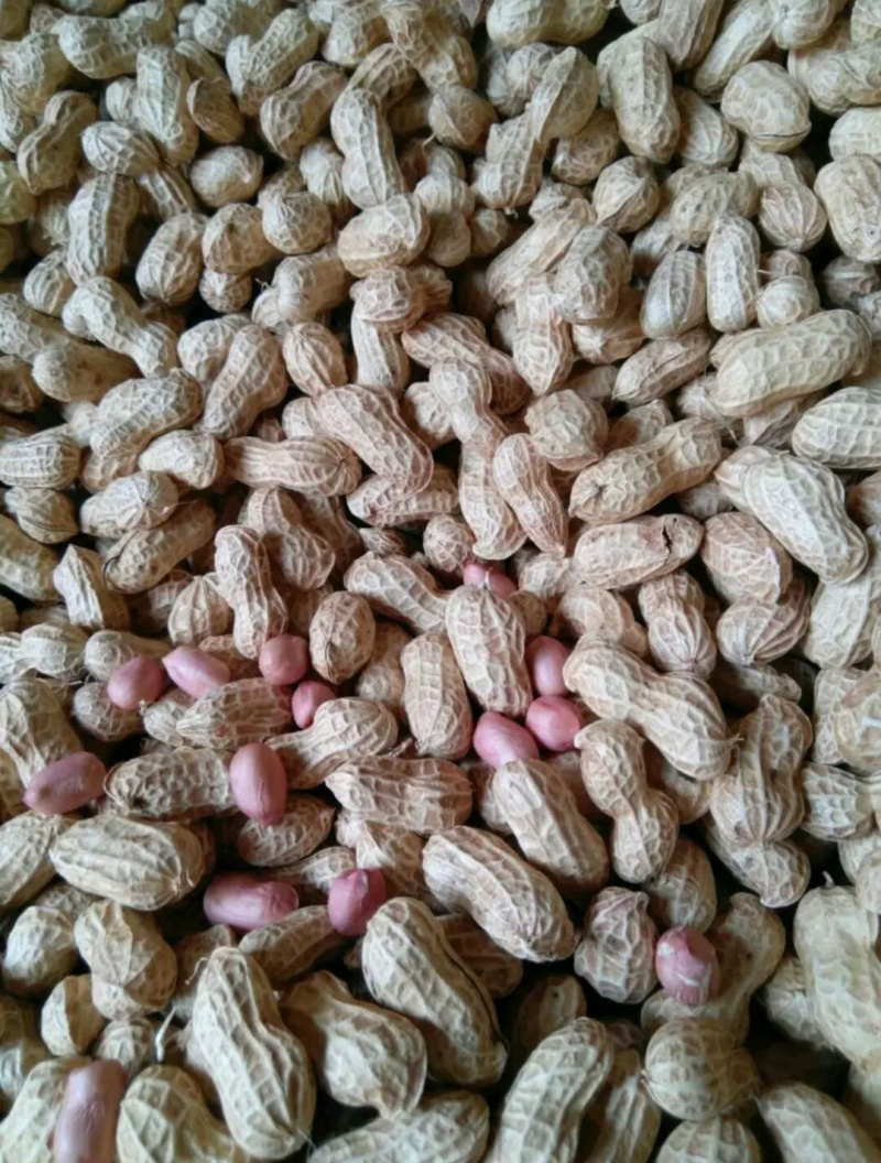 四粒红，小白沙，罗汉果，中花，鲁花鲜货干货米