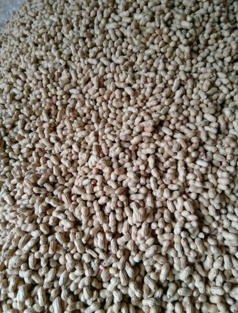 四粒红，小白沙，罗汉果，中花，鲁花鲜货干货米