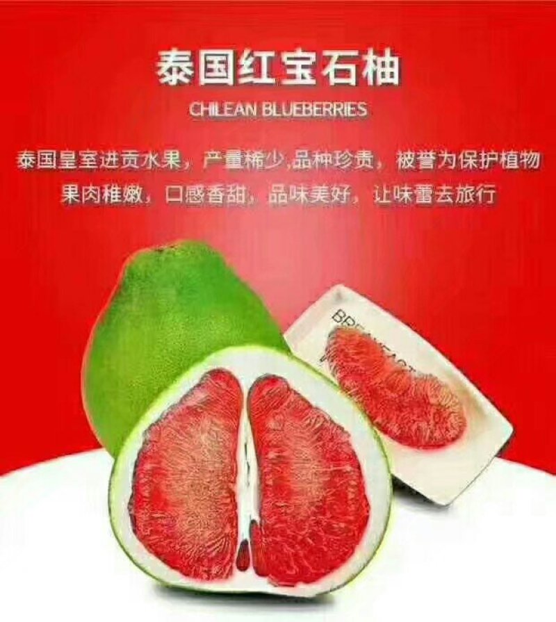 泰国红钻石柚子苗青皮红肉柚子苗泰国红宝石柚