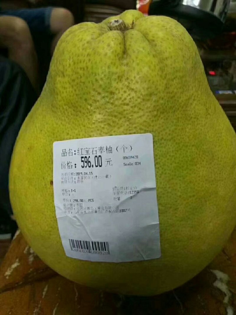 泰国红钻石柚子苗青皮红肉柚子苗泰国红宝石柚