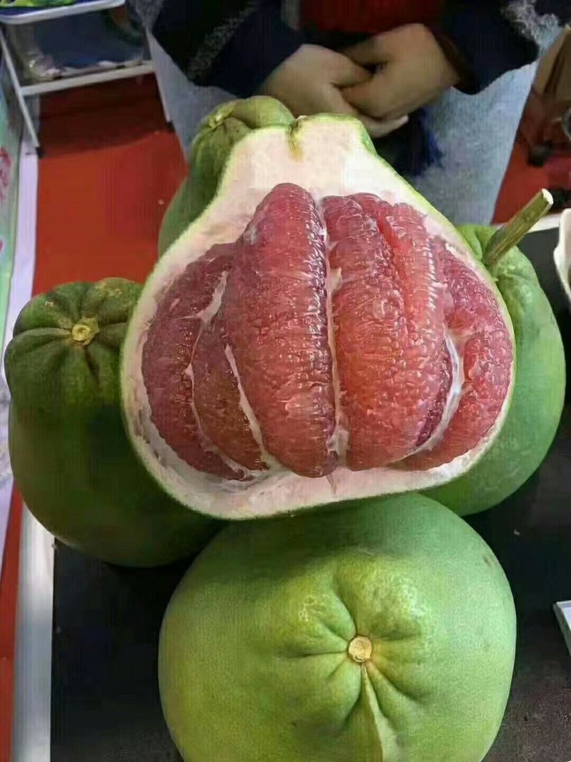 泰国红钻石柚子苗青皮红肉柚子苗泰国红宝石柚