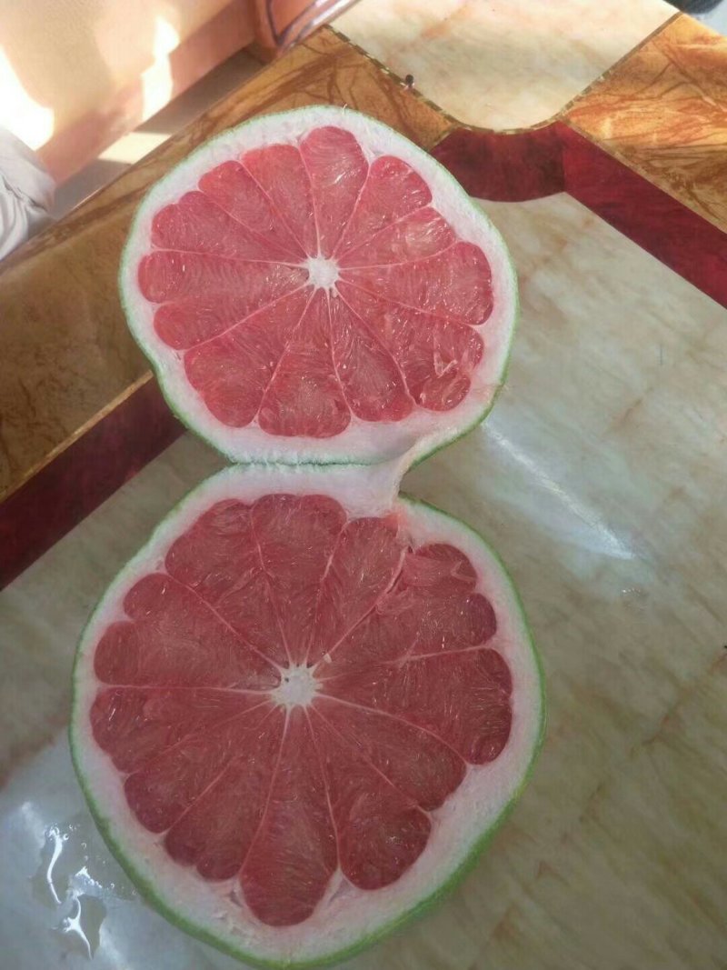 泰国红钻石柚子苗青皮红肉柚子苗泰国红宝石柚
