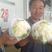甘肃临洮高原花菜万亩基地大量供应，大量上市中6月上市