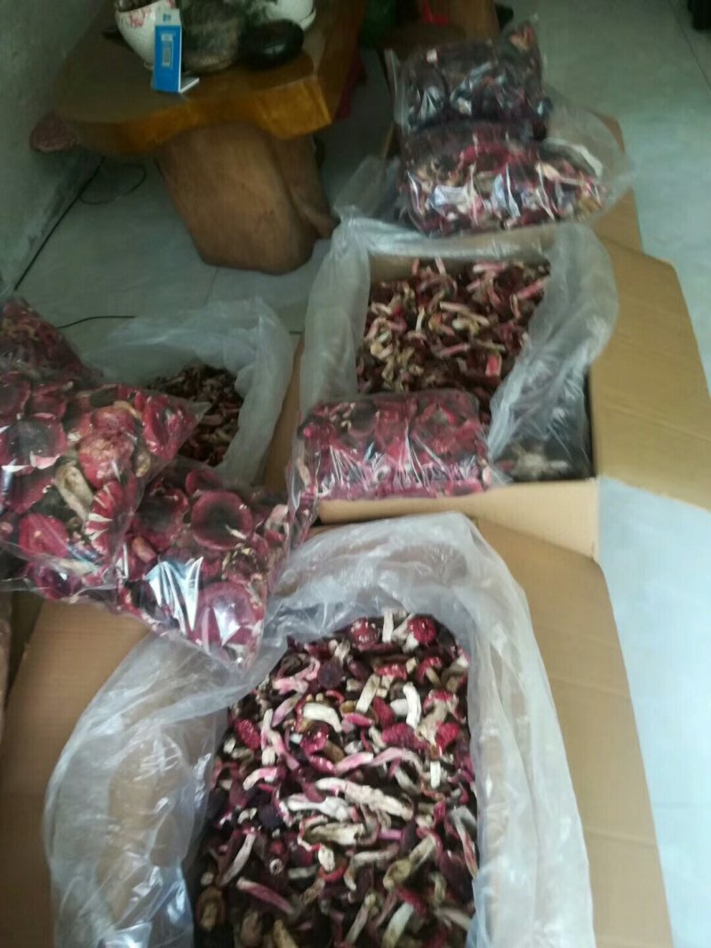 云南高山红菇精标菇