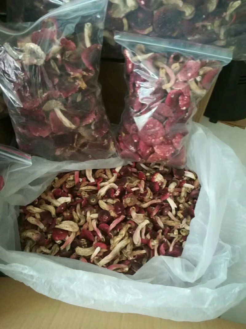 云南高山红菇精标菇