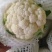 甘肃临洮高原花菜万亩基地大量供应，大量上市中6月上市