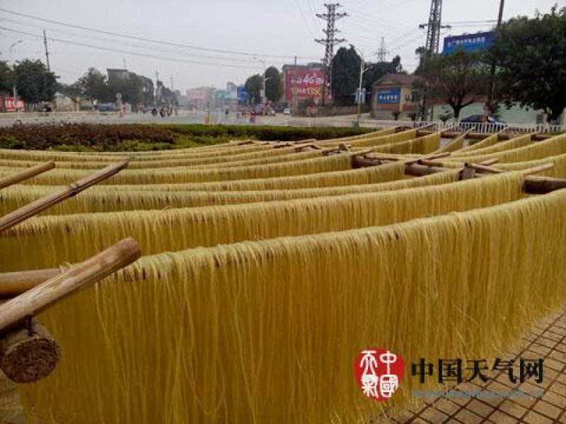 地瓜粉条山东粉条纯手工量大价优品质保证欢迎咨询