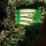 优质莴笋大量上市有要的连系