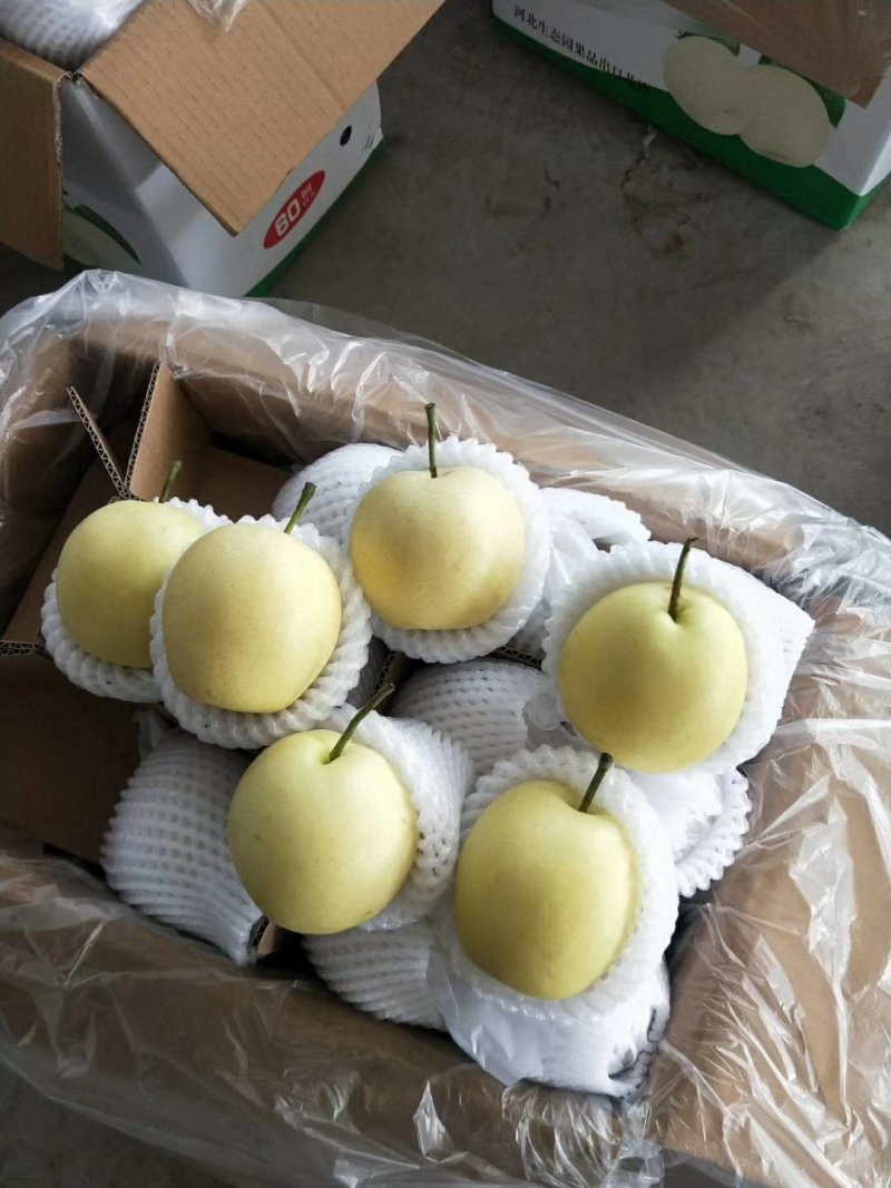 原装袋皇冠梨甜梨口感甜价格便宜大量有货