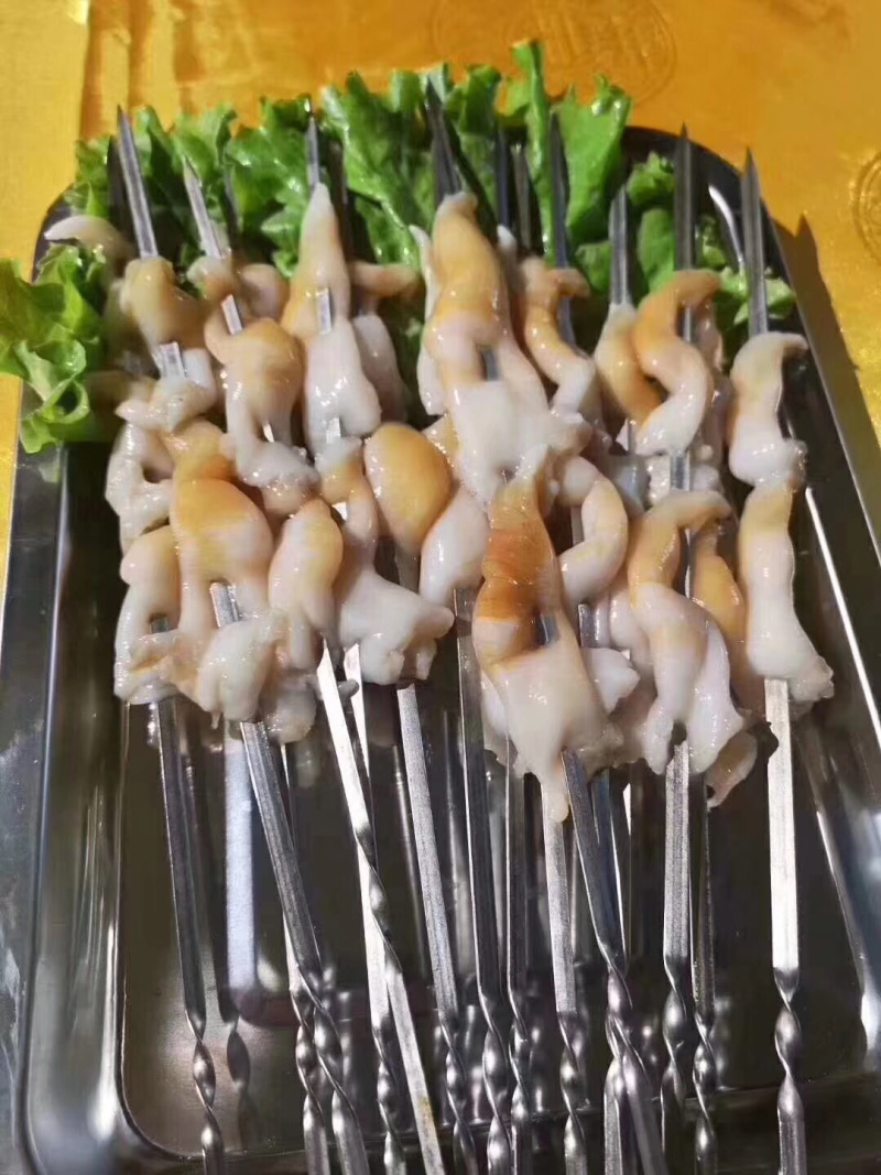野生大鸟贝