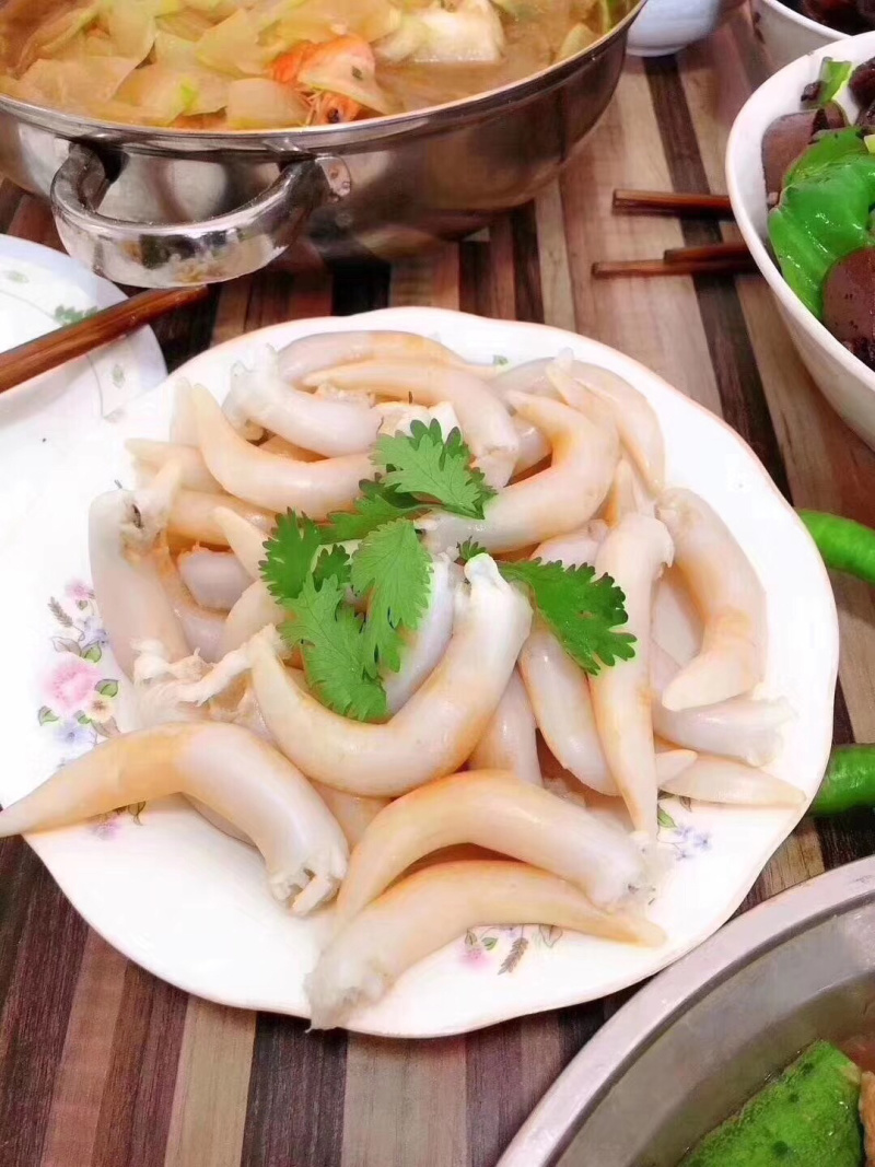 野生大鸟贝