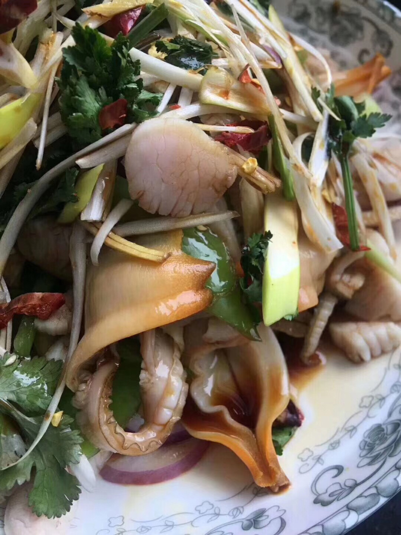 野生大鸟贝