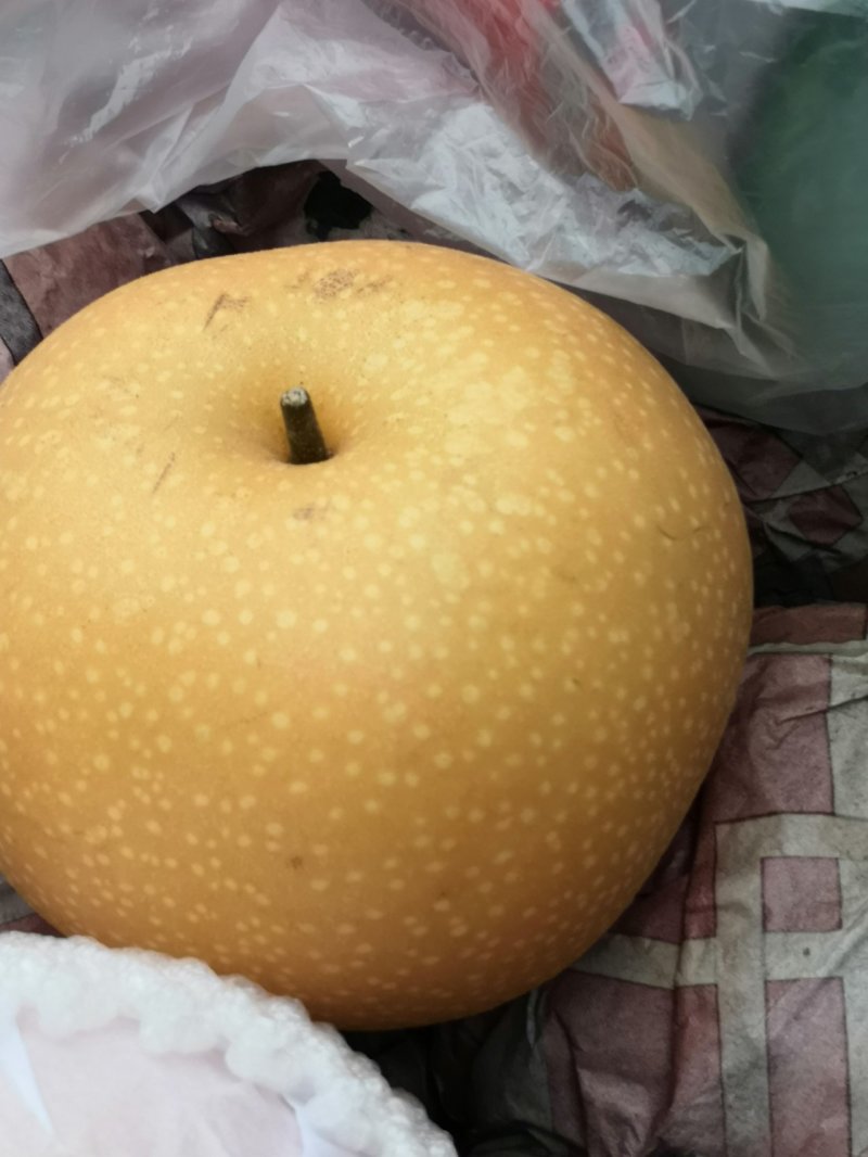 秋月梨
