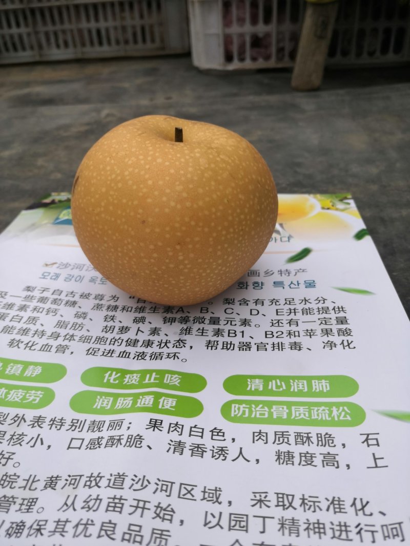 秋月梨