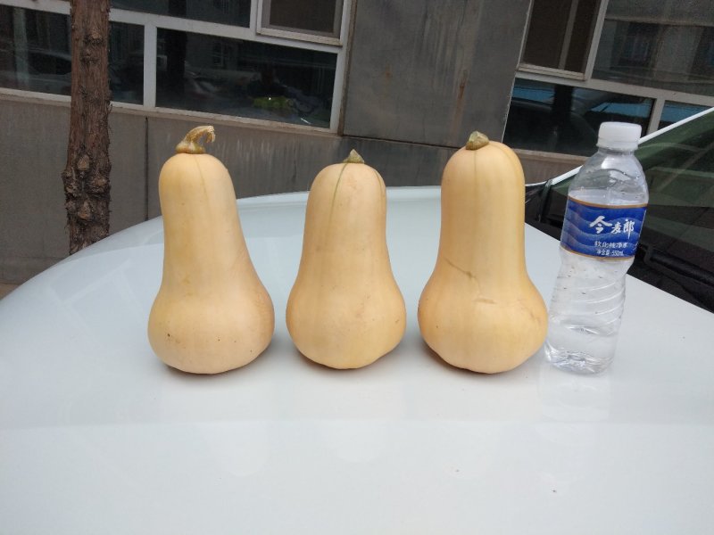 奶油南瓜