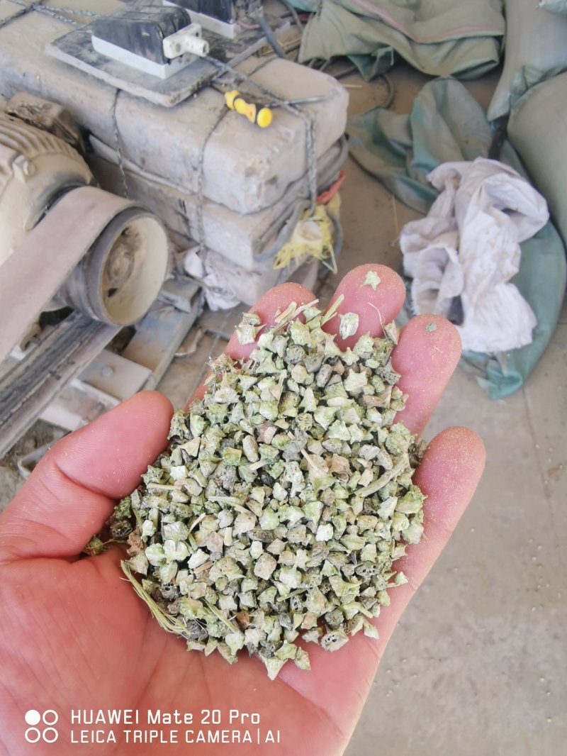 白蒺藜产地一手货源质量可靠欢迎合作