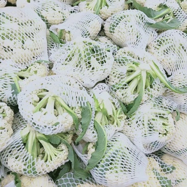 有机花菜，山东肥城大量上市，青梗松花菜基地供应