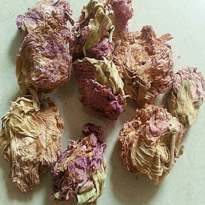 芙蓉花千余品种供应承接订单