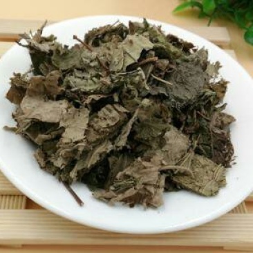 芙蓉叶木芙蓉叶千余品种供应承接订单