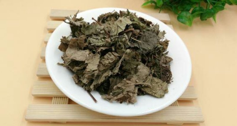芙蓉叶木芙蓉叶千余品种供应承接订单