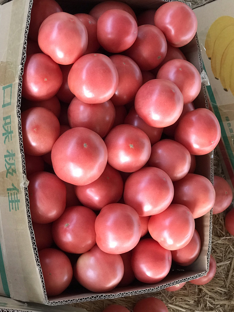 硬粉西红柿