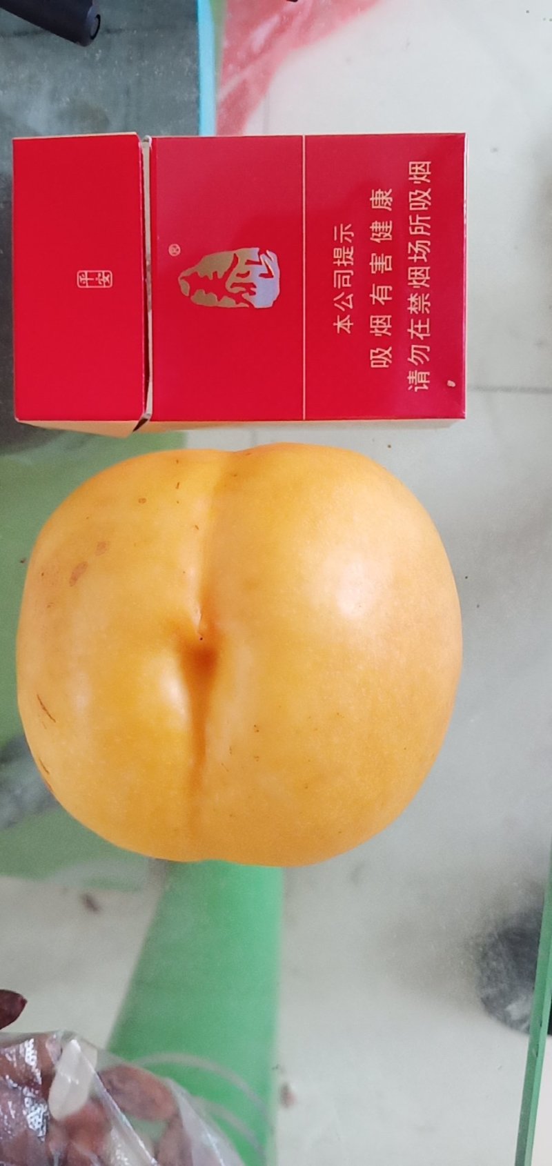 中油八油桃（黄焗油，仙岛十四）黄油桃系列