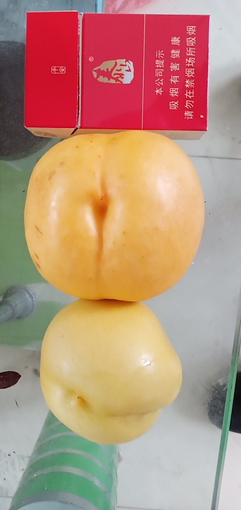 中油八油桃（黄焗油，仙岛十四）黄油桃系列