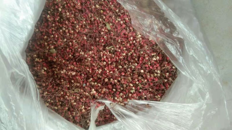 陕西彬洲市特红好花椒