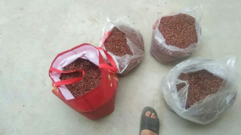 陕西彬洲市特红好花椒