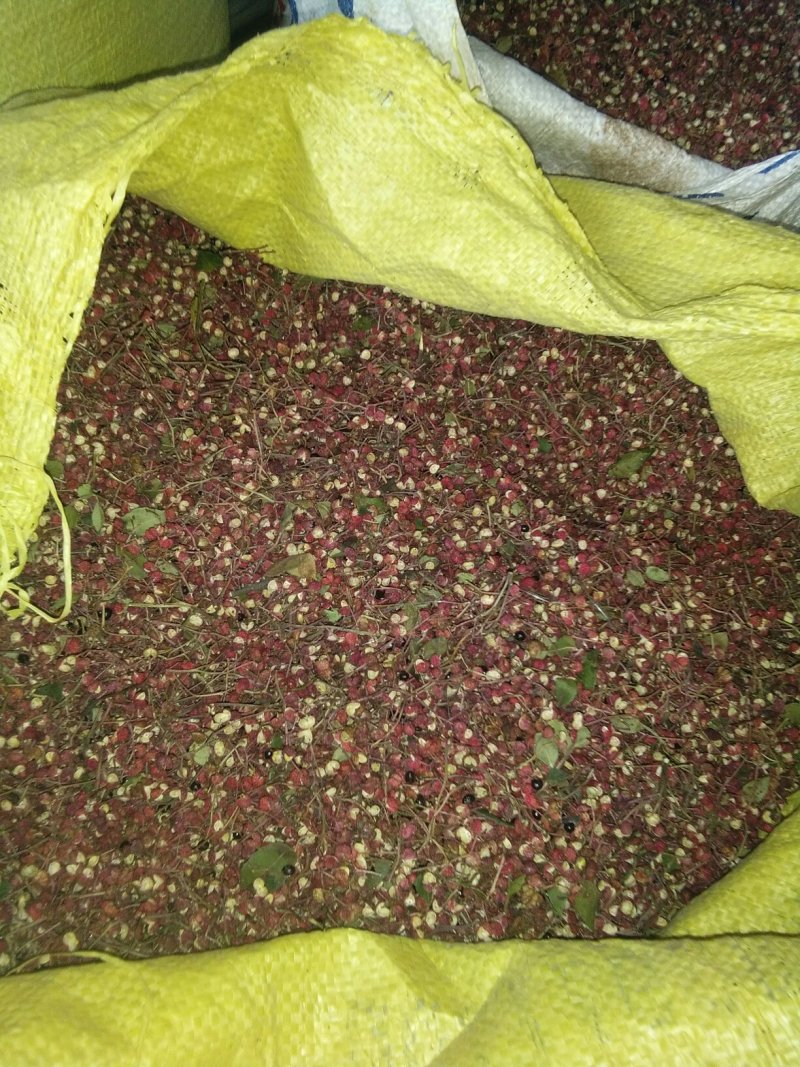 陕西彬洲市特红好花椒