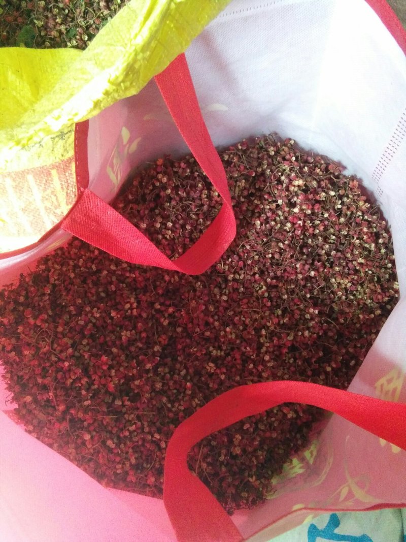 陕西彬洲市特红好花椒