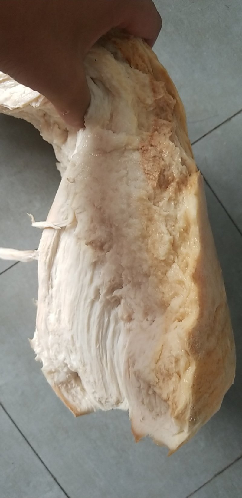 野生太岁肉灵芝土太岁肉灵芝