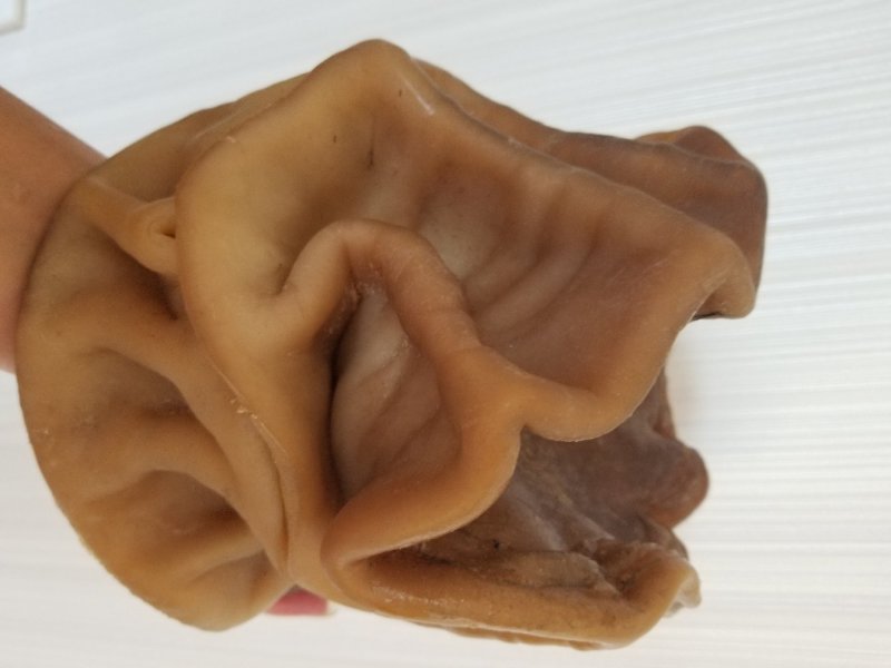 野生太岁肉灵芝土太岁肉灵芝