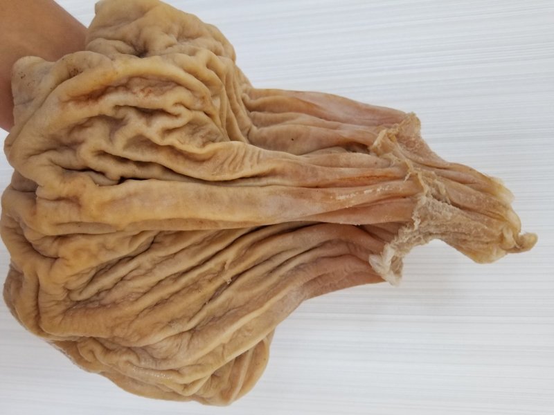 野生太岁肉灵芝土太岁肉灵芝