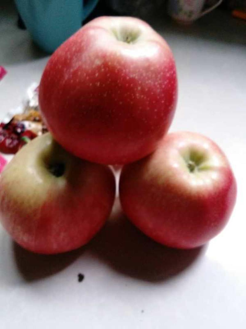 【推荐】山东纸袋新红星苹果80以上产地直供量大从优