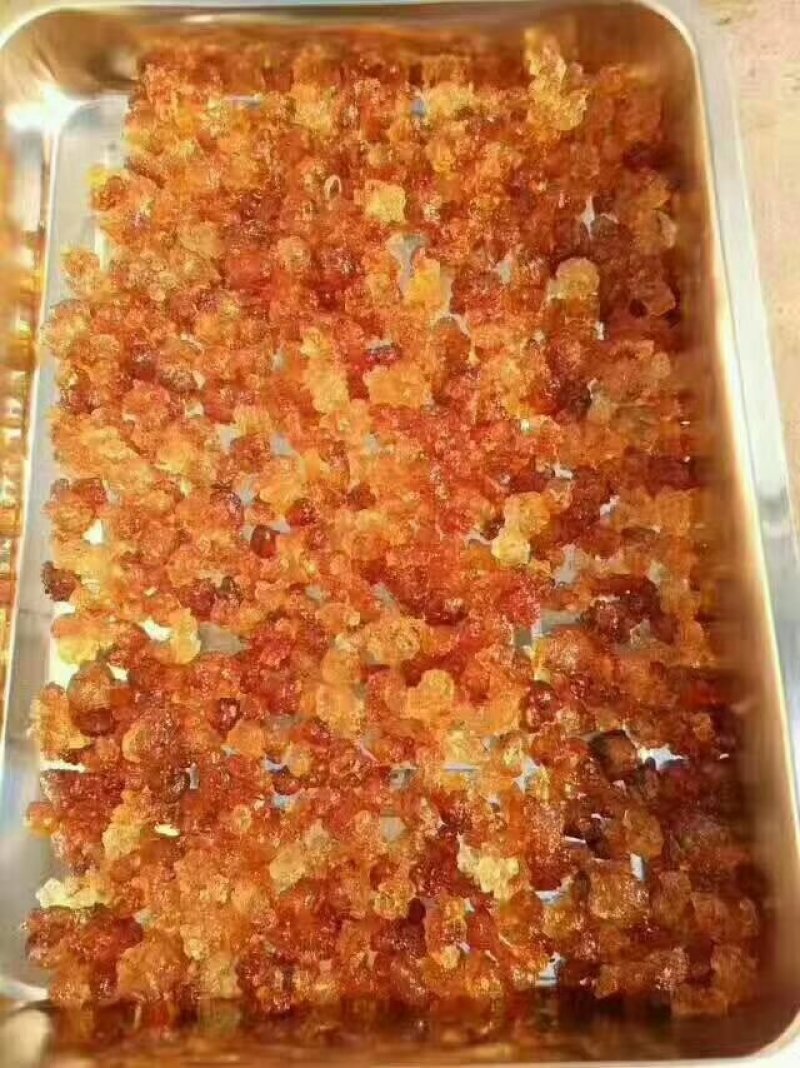 可煲汤可加工美食
