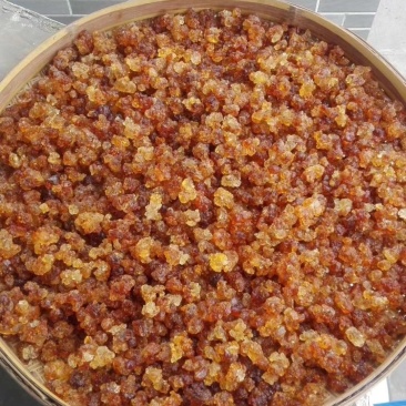 可煲汤可加工美食