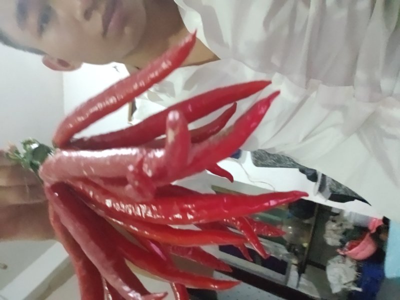 红辣椒