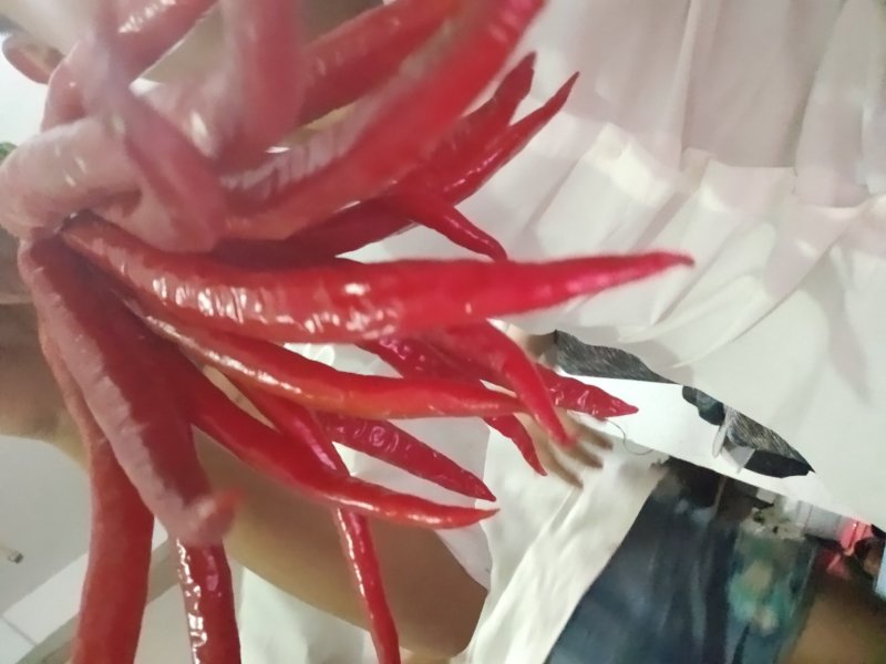 红辣椒