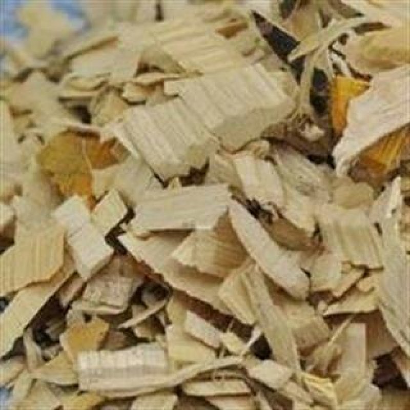 苦木千余品种供应承接订单