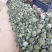 西兰花基地供应，质量好价格美丽，有收购的朋友联系我