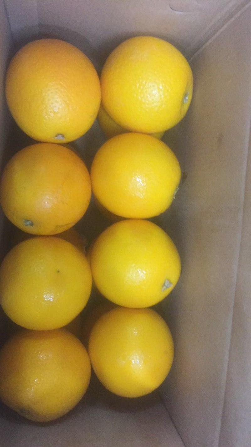 进口南非橙16颗彩盒装礼盒