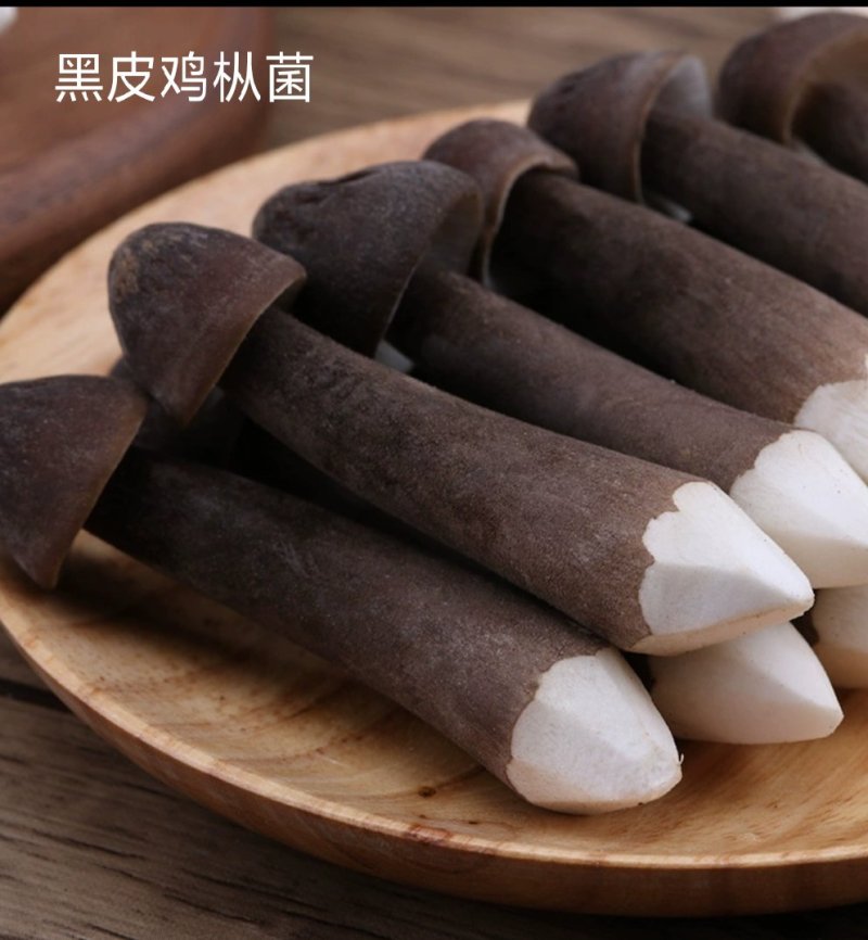 精品黑皮鸡枞菌